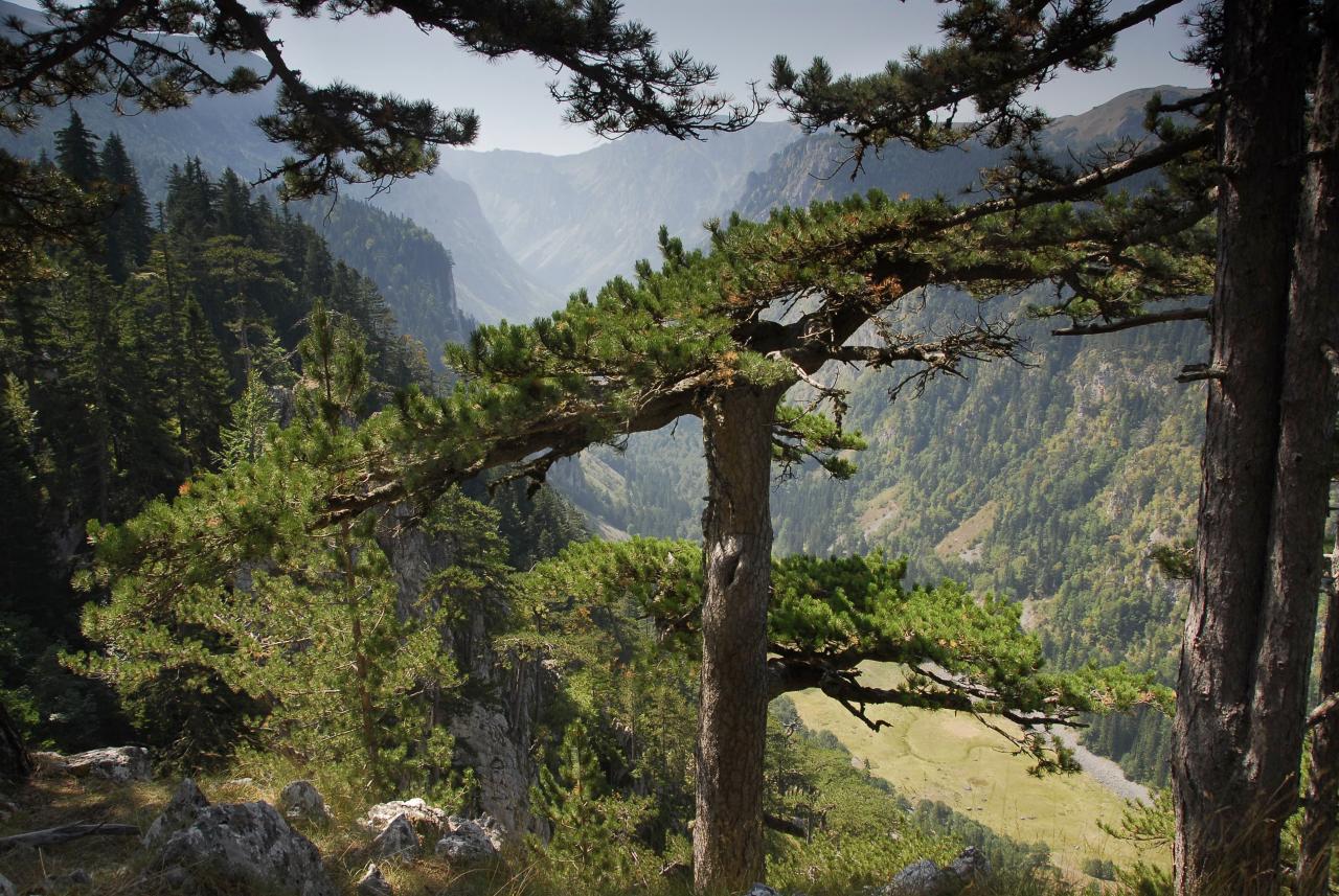 Durmitoro nacionalinis parkas - vienas gražiausių Balkanų kalnų parkų